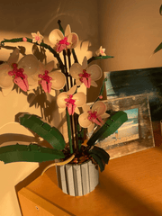 DIY Orchid Building Block Flowers - Pura Jewels